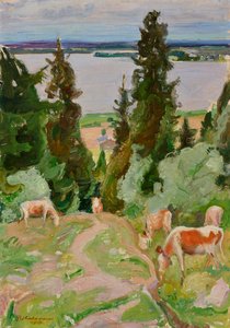 Cows at Väisälänmäki